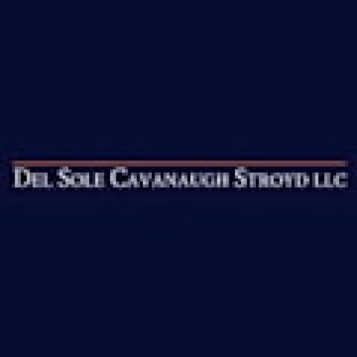 Del Sole Cavanaugh Stroyd LLC Logo