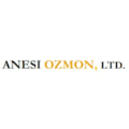 Anesi Ozmon Ltd. Logo