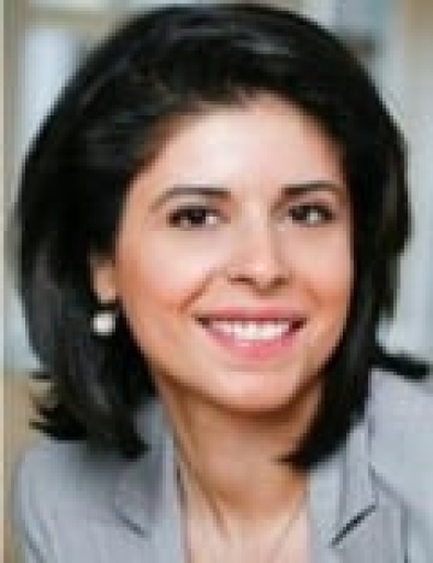 The Law Offices of Elsa Ayoub, P.L.L.C. Logo